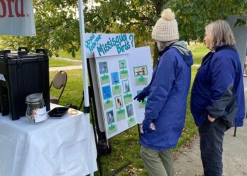 Interactive learning at Missisquoi Wildlife Fair | Arts / Entertainment