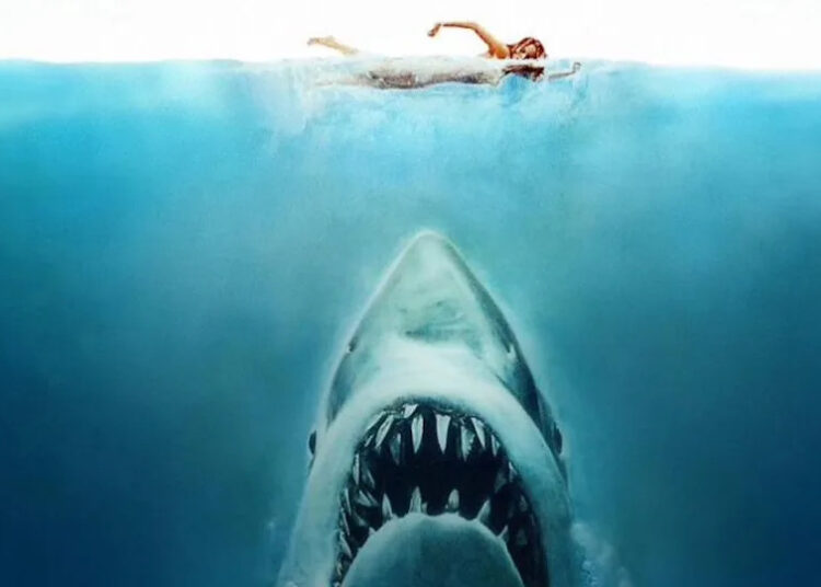 The Poster To Steven Spielberg's 1975 Masterpiece Jaws.
