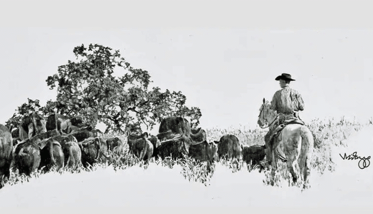 Black and white artwork by Joe Milazzo depicts a cowboy rounding up cattle. (Courtesy photo)