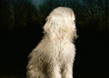 <h1 class="title">Juana Molina: DOGA</h1>