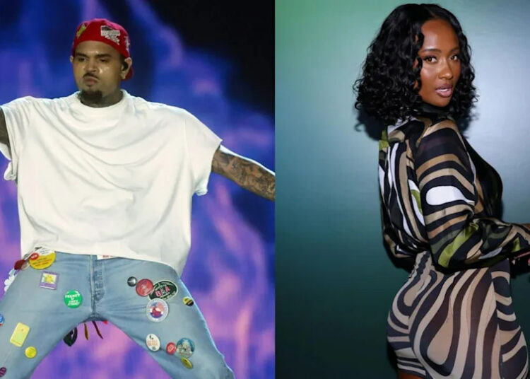 Chris Brown Brings Kayla Nicole Onstage for a Very NSFW Performance of 'Take You Down'