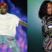 Chris Brown Brings Kayla Nicole Onstage for a Very NSFW Performance of 'Take You Down'