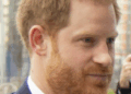 King Charles Met With Prince Harry — Here's Why Prince…