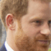 King Charles Met With Prince Harry — Here's Why Prince…
