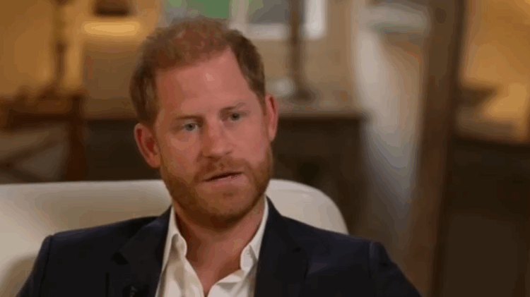 King Charles has plans for Prince Harry according to new reports