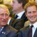 King Charles will only meet Prince Harry 'if he abides by one strict rule' - Royals - News