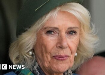 King arrives but ill Queen Camilla misses Duchess of Kent's funeral