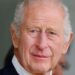 King 'to reunite with grandkids' after Prince Harry visit - Celebrity News - Entertainment