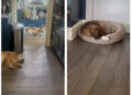 RHOBH Kyle Richards home dogs