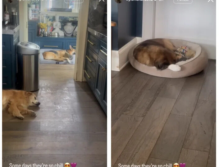 RHOBH Kyle Richards home dogs