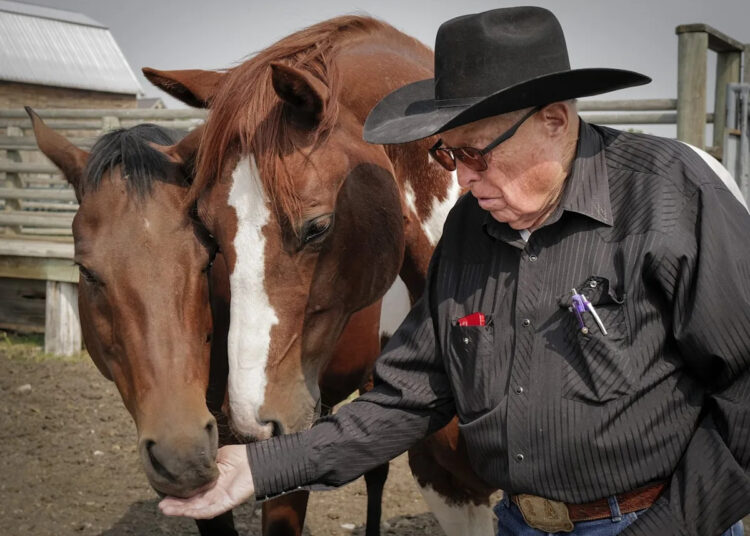 Legendary Alberta stuntman, animal wrangler to receive award
