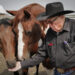 Legendary Alberta stuntman, animal wrangler to receive award