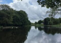 A lake with trees around it.