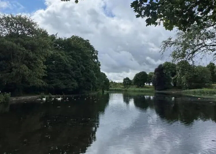 A lake with trees around it.