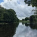 A lake with trees around it.