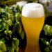 Manitowoc events include Oktoberfest, paranormal, live music, crafts