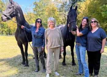 The Dorset Equine Rescue Inc.  Martha Stewart and her new horses, Ulysses and Stewart.