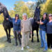 The Dorset Equine Rescue Inc.  Martha Stewart and her new horses, Ulysses and Stewart.