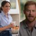 Meghan Markle makes surprising Prince Harry confession that stuns Netflix show guest
