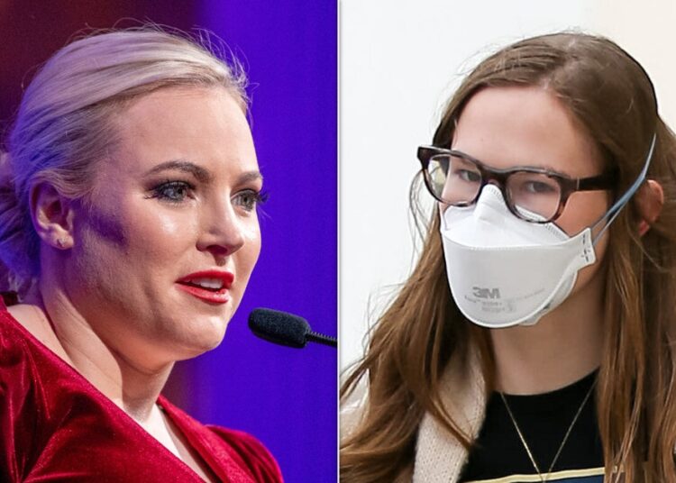 Meghan McCain Digs At 'Nepo Baby' Advocate Over UN Speech