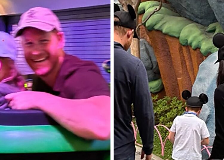 Meghan and Harry Share New Photo of Lili and Archie at Disneyland