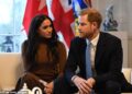 In November 2019, both the Sussexes and the Palace had been tight-lipped about where Meghan and Harry had travelled to during their six-week break from royal duties