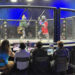 Armored MMA drew about 3,000 people to the Center for Performance sports dome at the Hall of Fame Village.