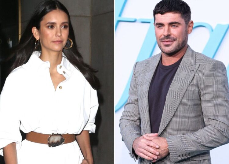 Nina Dobrev Spotted Enjoying a Yacht Day With Zac Efron and Pals Following Shaun White Split – Star Magazine