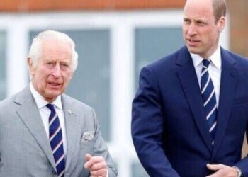 Palace insider hits back at claims of Charles and William fighting over Harry - Royals - News