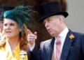 Prince Andrew issued warning over bombshell and the King may be next - Royals - News