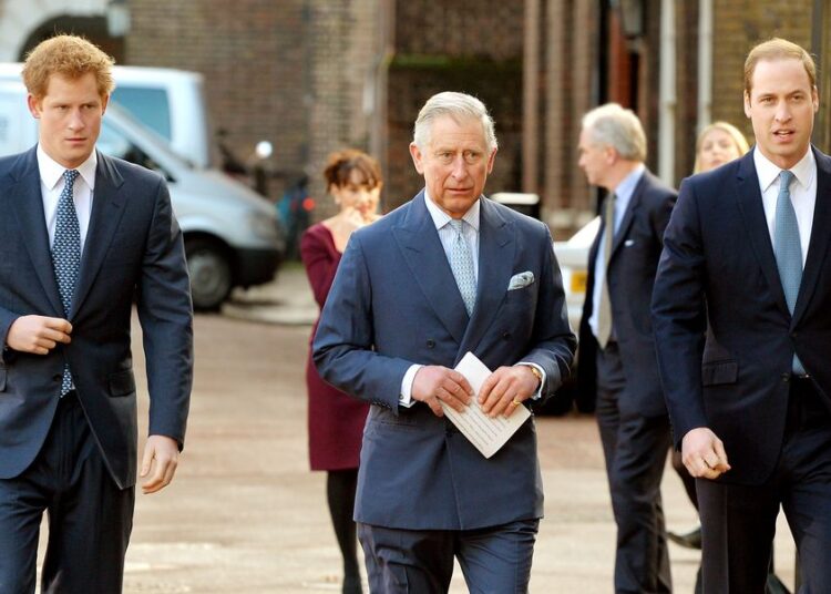 Prince Harry Accused of Driving Wedge Between King Charles, Prince William