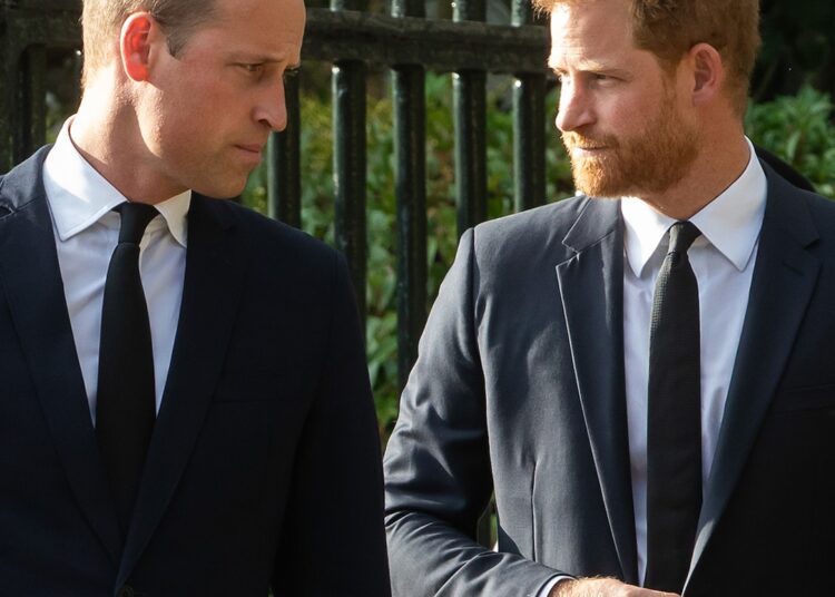 Prince Harry Jokes About Brothers Amid Prince William Feud