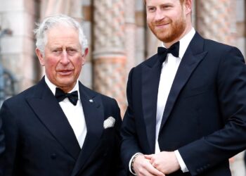Prince Harry, King Charles Reunite Amid Rift