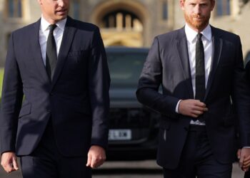 Prince Harry, Prince William, King Charles Relationship Amid Feud