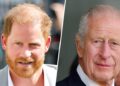 Prince Harry Reunites with King Charles: Will He See William?