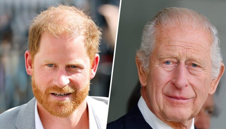 Prince Harry Reunites with King Charles: Will He See William?