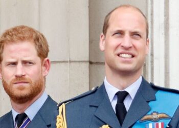 Prince Harry and William 'will never see eye to eye' as reunion hopes swirl - Celebrity News - Entertainment