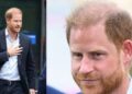 Prince Harry can't be trusted and never takes responsibility, expert - Royals - News