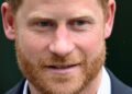 Prince Harry has set-up a ‘flexible formula’ to ‘keep doors open’ - Royals - News