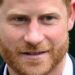 Prince Harry has set-up a ‘flexible formula’ to ‘keep doors open’ - Royals - News
