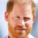 Prince Harry 'homesick' for UK as he 'pines' for old life in four-day return - Celebrity News - Entertainment