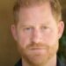 Prince Harry makes plea in video as he joins A-list stars for UN project - Celebrity News - Entertainment