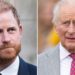 Prince Harry mirrored King Charles during UK trip as gesture sends message - Celebrity News - Entertainment
