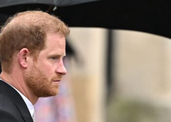 Prince Harry reunites with King Charles. Is the British royal family patching up? – Firstpost