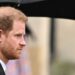 Prince Harry reunites with King Charles. Is the British royal family patching up? – Firstpost