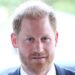 Prince Harry secretly met with another royal during UK visit - Celebrity News - Entertainment