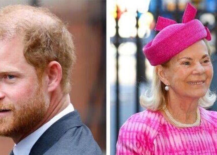 Prince Harry 'sends message to Royal Family' after death of relative - Celebrity News - Entertainment