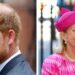 Prince Harry 'sends message to Royal Family' after death of relative - Celebrity News - Entertainment