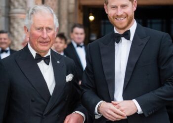 Prince Harry’s Focus is On King Charles After Reunion
