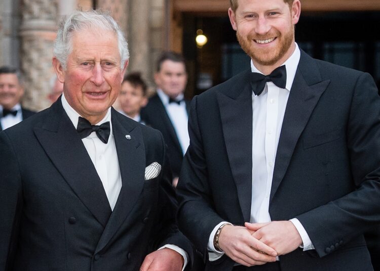 Prince Harry’s Focus is On King Charles After Reunion